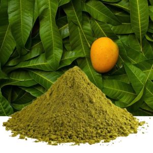 Mango Leaf powder