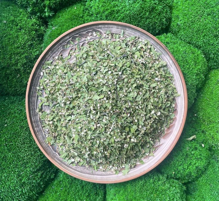 Hawthorn herb - Image 3