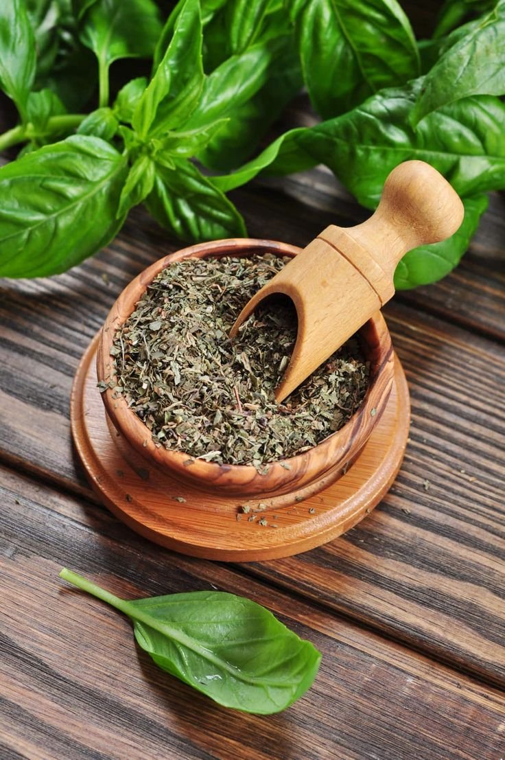 Basil/Tulsi herb - Image 2
