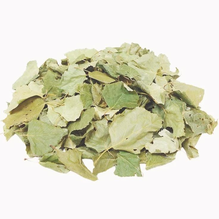 Birch leaves herb