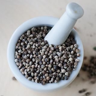 Chasteberry/vitex